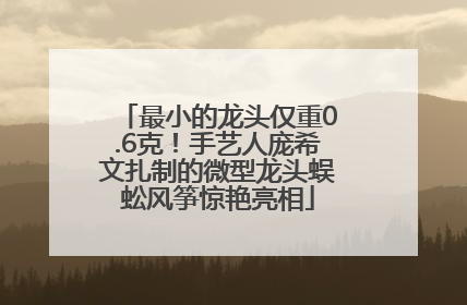 最小的龙头仅重0.6克！手艺人庞希文扎制的微型龙头蜈蚣风筝惊艳亮相