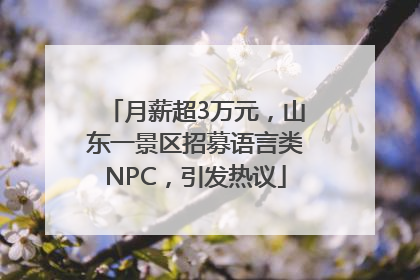 月薪超3万元，山东一景区招募语言类NPC，引发热议