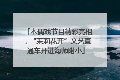 木偶戏节目精彩亮相，“茉莉花开”文艺直通车开进海师附小