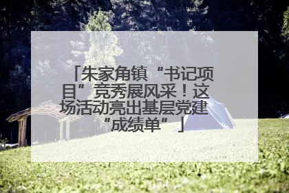 朱家角镇“书记项目”竞秀展风采！这场活动亮出基层党建“成绩单”