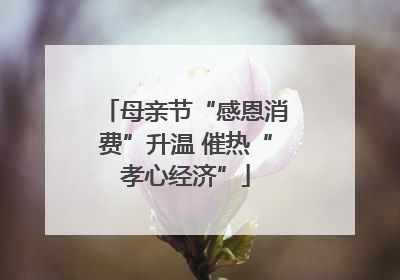 母亲节“感恩消费”升温 催热“孝心经济”