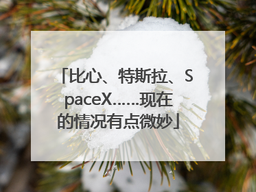 比心、特斯拉、SpaceX……现在的情况有点微妙
