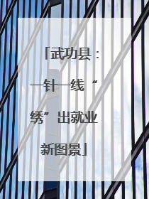 武功县：一针一线“绣”出就业新图景