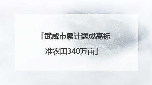 武威市累计建成高标准农田340万亩