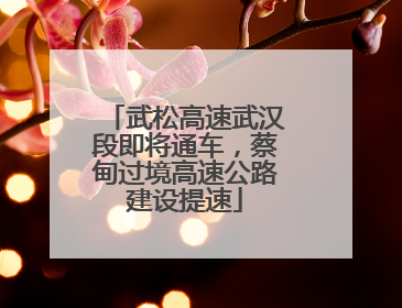 武松高速武汉段即将通车，蔡甸过境高速公路建设提速