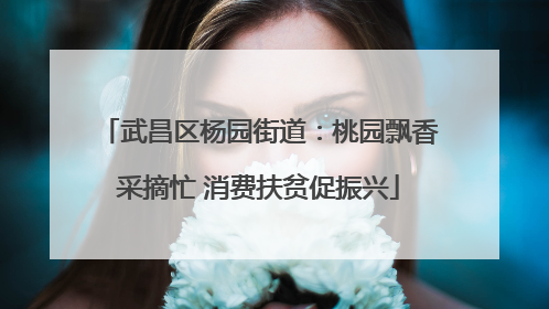 武昌区杨园街道：桃园飘香采摘忙 消费扶贫促振兴