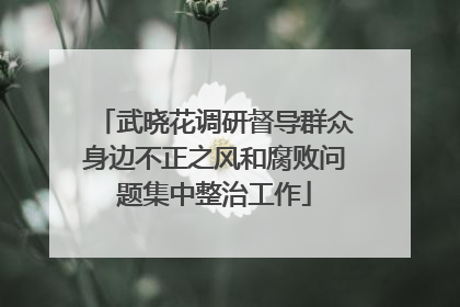 武晓花调研督导群众身边不正之风和腐败问题集中整治工作
