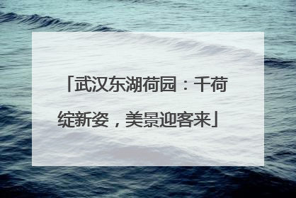武汉东湖荷园：千荷绽新姿，美景迎客来