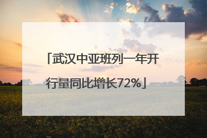 武汉中亚班列一年开行量同比增长72%