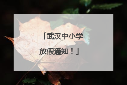 武汉中小学放假通知！