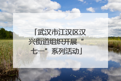 武汉市江汉区汉兴街道组织开展“七一”系列活动