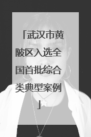 武汉市黄陂区入选全国首批综合类典型案例