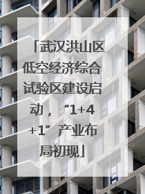 武汉洪山区低空经济综合试验区建设启动，“1+4+1”产业布局初现
