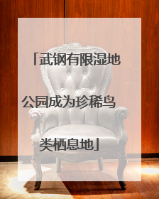 武钢有限湿地公园成为珍稀鸟类栖息地