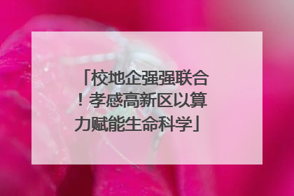 校地企强强联合！孝感高新区以算力赋能生命科学