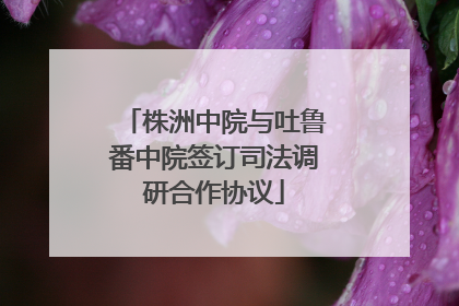 株洲中院与吐鲁番中院签订司法调研合作协议
