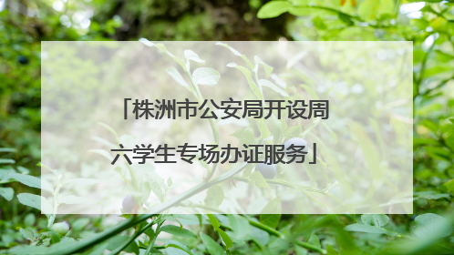 株洲市公安局开设周六学生专场办证服务