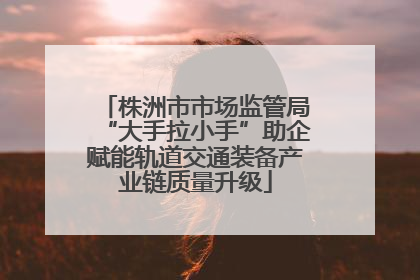 株洲市市场监管局“大手拉小手”助企赋能轨道交通装备产业链质量升级