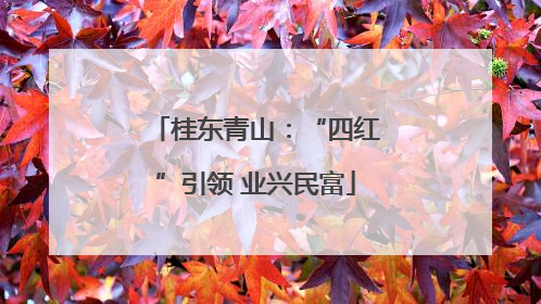 桂东青山：“四红”引领 业兴民富