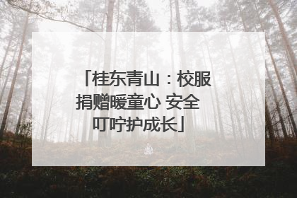 桂东青山：校服捐赠暖童心 安全叮咛护成长