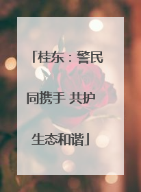 桂东：警民同携手 共护生态和谐
