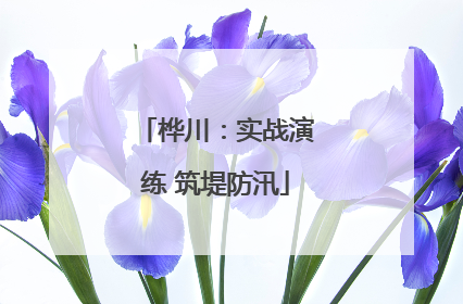 桦川：实战演练 筑堤防汛