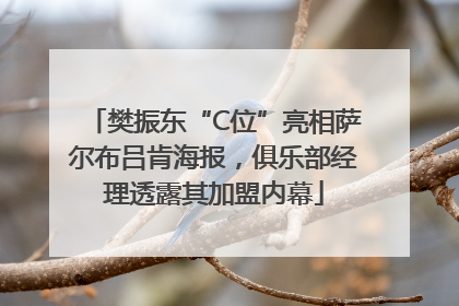 樊振东“C位”亮相萨尔布吕肯海报，俱乐部经理透露其加盟内幕