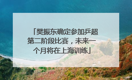 樊振东确定参加乒超第二阶段比赛，未来一个月将在上海训练