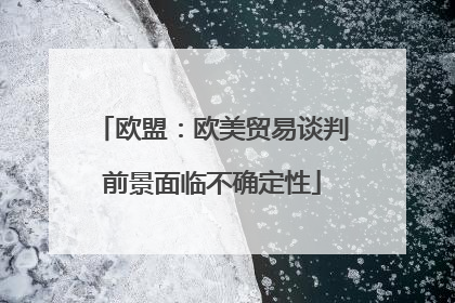 欧盟：欧美贸易谈判前景面临不确定性