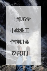 潍坊全市就业工作推进会议召开