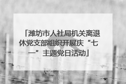 潍坊市人社局机关离退休党支部组织开展庆“七一”主题党日活动