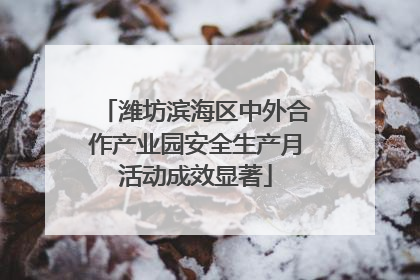 潍坊滨海区中外合作产业园安全生产月活动成效显著