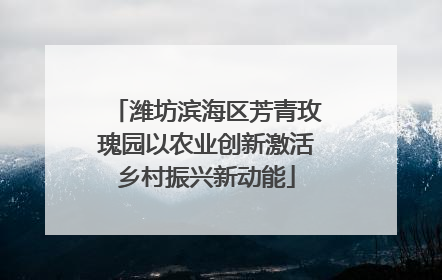 潍坊滨海区芳青玫瑰园以农业创新激活乡村振兴新动能
