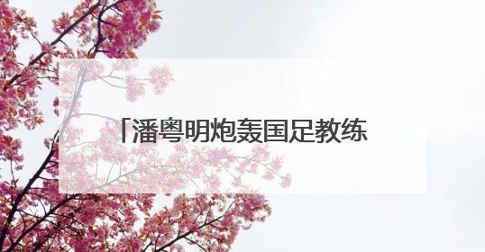 潘粤明炮轰国足教练伊万：一个装傻不辞职的所谓教练，你指望它拯救中国足球！此前曾多次发文评价国足