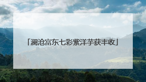 澜沧富东七彩紫洋芋获丰收