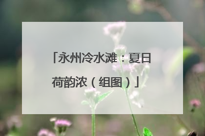 永州冷水滩：夏日荷韵浓（组图）
