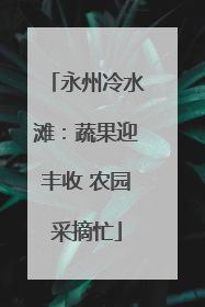 永州冷水滩：蔬果迎丰收 农园采摘忙