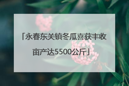 永春东关镇冬瓜喜获丰收 亩产达5500公斤