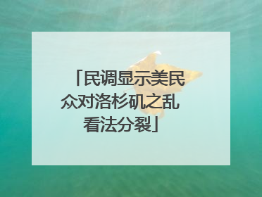 民调显示美民众对洛杉矶之乱看法分裂