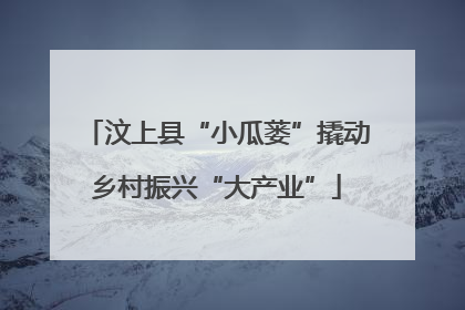 汶上县“小瓜蒌”撬动乡村振兴“大产业”