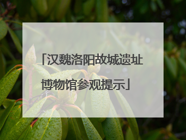 汉魏洛阳故城遗址博物馆参观提示