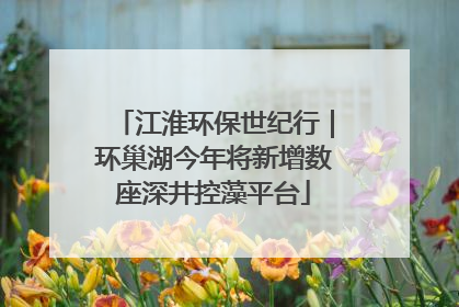 江淮环保世纪行｜环巢湖今年将新增数座深井控藻平台