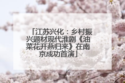 江苏兴化：乡村振兴题材现代淮剧《油菜花开燕归来》在南京成功首演