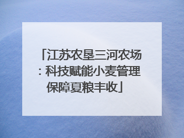 江苏农垦三河农场：科技赋能小麦管理保障夏粮丰收