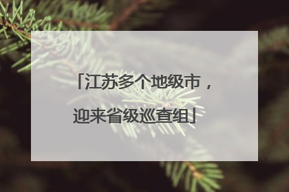 江苏多个地级市，迎来省级巡查组