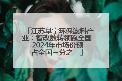 江苏阜宁环保滤料产业：智改数转领跑全国 2024年市场份额占全国三分之一