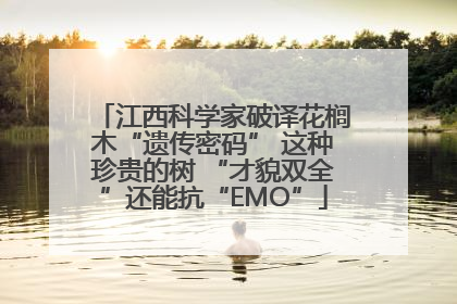 江西科学家破译花榈木“遗传密码” 这种珍贵的树 “才貌双全”还能抗“EMO”