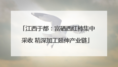 江西于都：富硒西红柿集中采收 精深加工延伸产业链