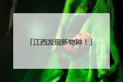 江西发现新物种！