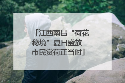 江西南昌“荷花秘境”夏日盛放 市民赏荷正当时